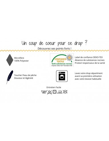 Lot de 2 drap housse Microfibre Coté Déco