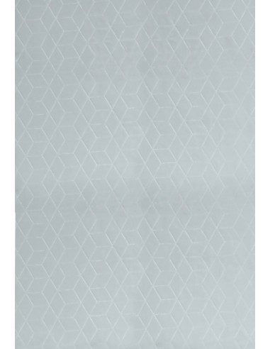 Tapis d'intérieur ASTANA Mani Textile