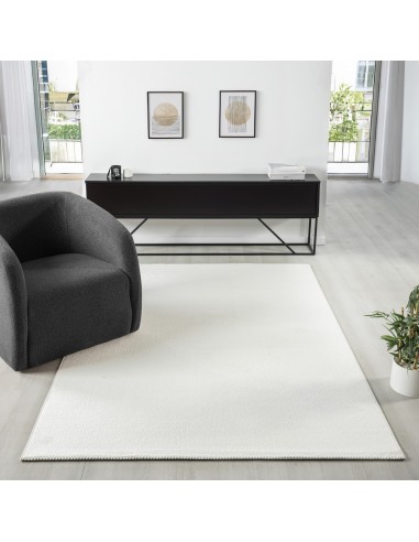 Tapis de salon ADA 2400