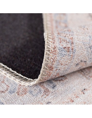 Tapis de salon VINTAGE 3520