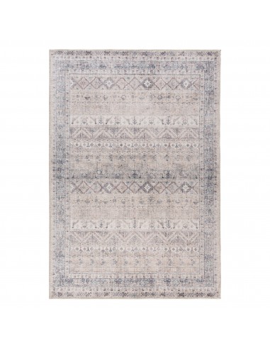 Tapis de salon VINTAGE 3550