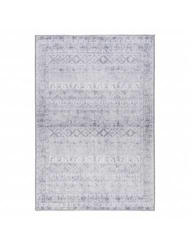 Tapis de salon VINTAGE 3560