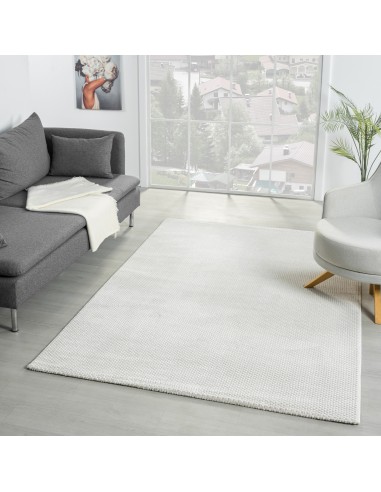Tapis de salon NORA 5610