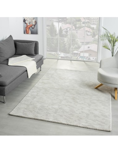 Tapis de salon NORA 5710