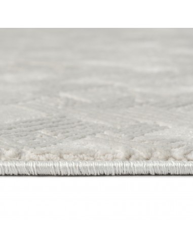 Tapis de salon NORA 5710