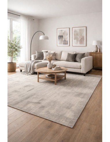Tapis d'intérieur AMATIS 6610