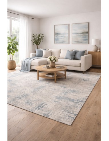 Tapis d'intérieur AMATIS 6630