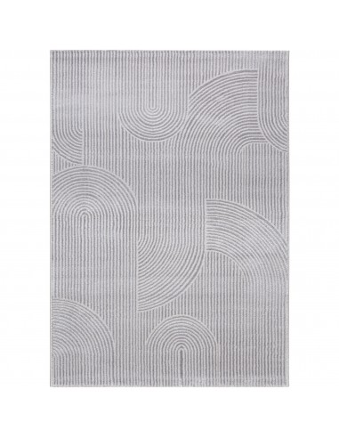 Tapis de salon MODA 1130