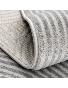 Tapis de salon MODA 1130 2