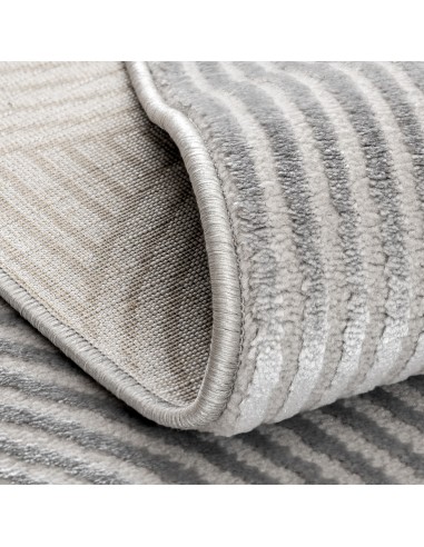 Tapis de salon MODA 1130