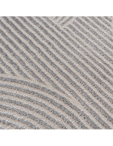 Tapis de salon MODA 1130