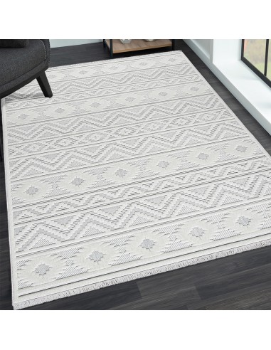 Tapis de salon OSLO 9820