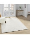Tapis Modernes