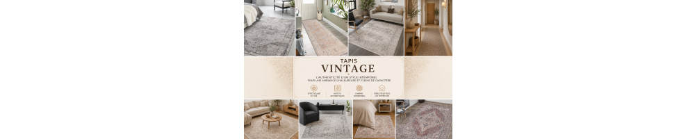 Tapis Vintage | Tapis Patinés et Effet Ancien pour Salon