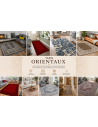 Tapis Orientaux