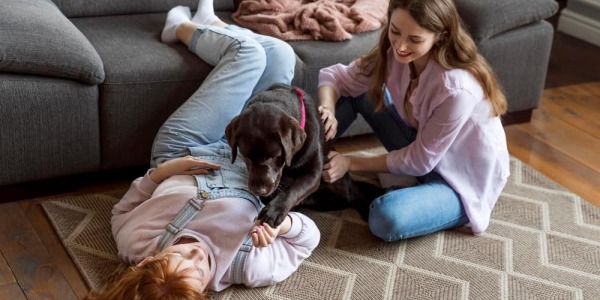 Petits espaces, grands effets : Comment un tapis peut agrandir visuellement une pièce ?
