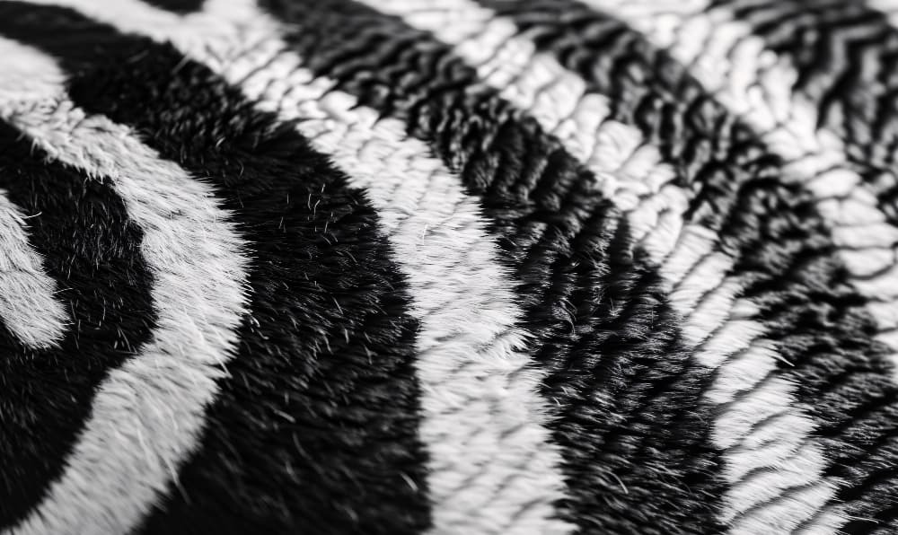 Tapis noir et blanc : les erreurs déco à éviter