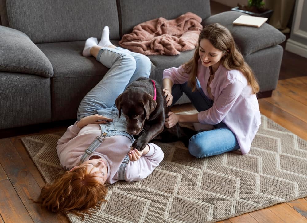 Petits espaces, grands effets : Comment un tapis peut agrandir visuellement une pièce ?